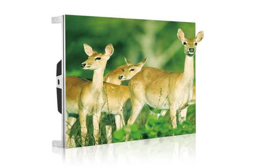 Triolion P1.2 LED Full Color Display