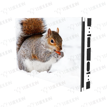 Triolion COB LED Display丨Full color Indoor LED wall丨COB small pitch LED display